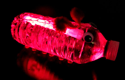 Glow Craft Water Bottle Creature